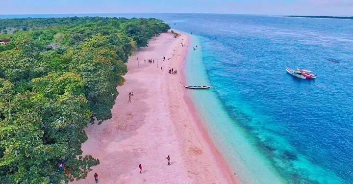 Great-Santa-Cruz-pink-beach